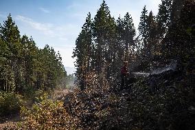 White Rock Lake Wildfire Aftermath - Canada