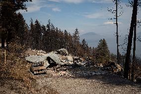 White Rock Lake Wildfire Aftermath - Canada