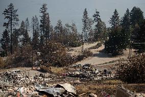 White Rock Lake Wildfire Aftermath - Canada