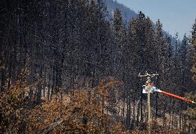 White Rock Lake Wildfire Aftermath - Canada