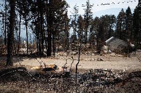 White Rock Lake Wildfire Aftermath - Canada