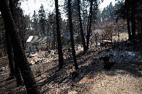 White Rock Lake Wildfire Aftermath - Canada