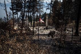 White Rock Lake Wildfire Aftermath - Canada