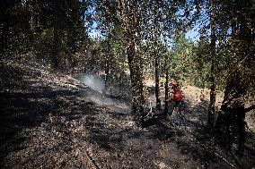 White Rock Lake Wildfire Aftermath - Canada