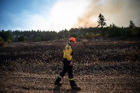 White Rock Lake Wildfire Aftermath - Canada