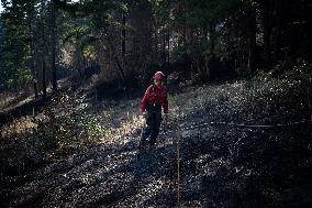 White Rock Lake Wildfire Aftermath - Canada