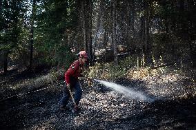 White Rock Lake Wildfire Aftermath - Canada