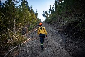 White Rock Lake Wildfire Aftermath - Canada