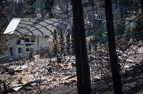 White Rock Lake Wildfire Aftermath - Canada