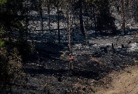 White Rock Lake Wildfire Aftermath - Canada