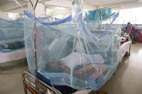 Bangladesh Battles Dengue Outbreak - Dhaka