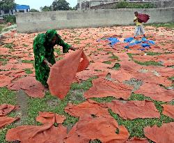 Workers Dry Rawhide Laid On Wooden Boards On A Field - Dhaka