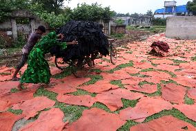 Workers Dry Rawhide Laid On Wooden Boards On A Field - Dhaka