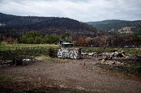 White Rock Lake Wildfire Aftermath - Canada