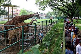 Tourists visit zoo - Dhaka - Bangladesh