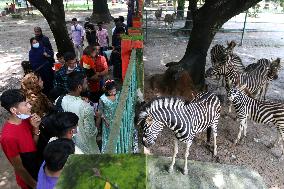 Tourists visit zoo - Dhaka - Bangladesh