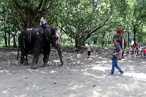 Tourists visit zoo - Dhaka - Bangladesh