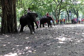 Tourists visit zoo - Dhaka - Bangladesh