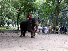 Tourists visit zoo - Dhaka - Bangladesh