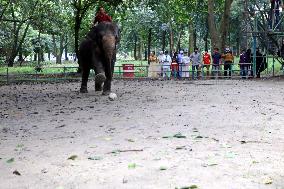 Tourists visit zoo - Dhaka - Bangladesh