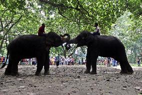 Tourists visit zoo - Dhaka - Bangladesh