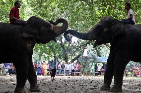 Tourists visit zoo - Dhaka - Bangladesh