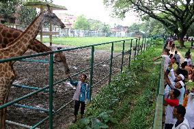 Tourists visit zoo - Dhaka - Bangladesh