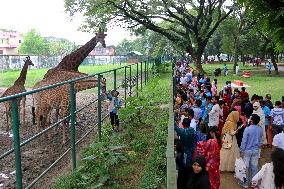 Tourists visit zoo - Dhaka - Bangladesh