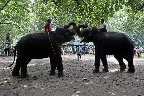 Tourists visit zoo - Dhaka - Bangladesh