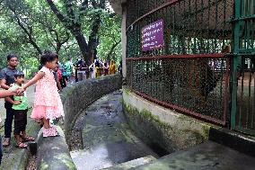 Tourists visit zoo - Dhaka - Bangladesh