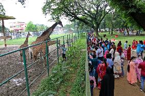 Tourists visit zoo - Dhaka - Bangladesh