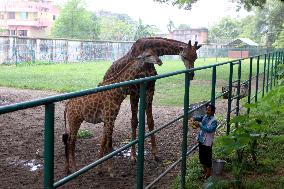 Tourists visit zoo - Dhaka - Bangladesh