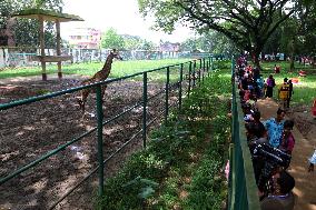 Tourists visit zoo - Dhaka - Bangladesh