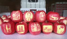 Decorated apples in northeastern Japan