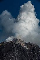 Sinabung Volcano Spews A Massive Column Of Smoke - Sumatra