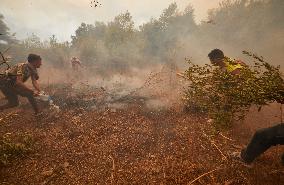 Wildfires Rage As Heatwave Hits North Africa - Algeria