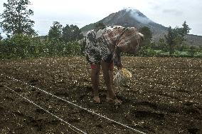 Agricultural working continue in abandoned Gamber village