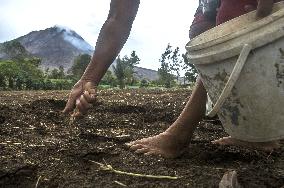 Agricultural working continue in abandoned Gamber village