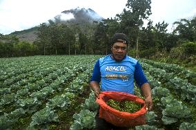 Agricultural working continue in abandoned Gamber village