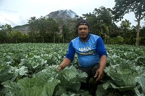 Agricultural working continue in abandoned Gamber village