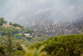 Wildfire In South Of France