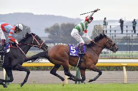Horse racing: 3-year-old Efforia wins Tenno-sho