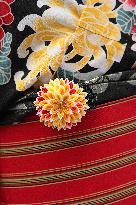 Japanese Yukata Style