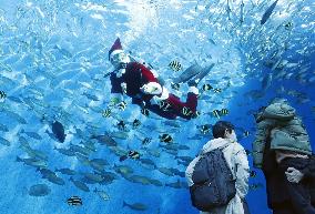 Santa Claus at Yokohama aquarium