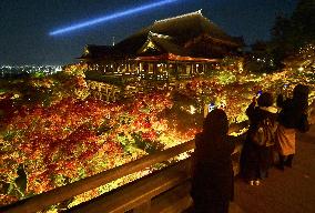 Kiyomizu temple in Kyoto