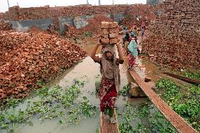 Around 400,000 Migrants Arrive Every Year To Work At Brickfields - Dhaka