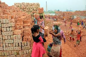 Around 400,000 Migrants Arrive Every Year To Work At Brickfields - Dhaka