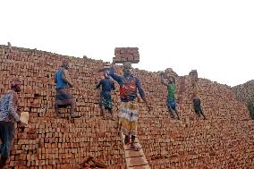 Around 400,000 Migrants Arrive Every Year To Work At Brickfields - Dhaka