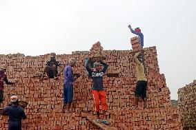 Around 400,000 Migrants Arrive Every Year To Work At Brickfields - Dhaka