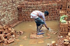 Around 400,000 Migrants Arrive Every Year To Work At Brickfields - Dhaka